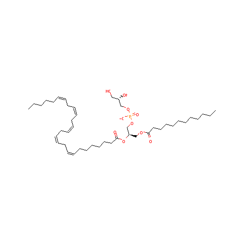 generic_lipid