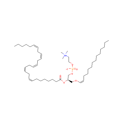 generic_lipid