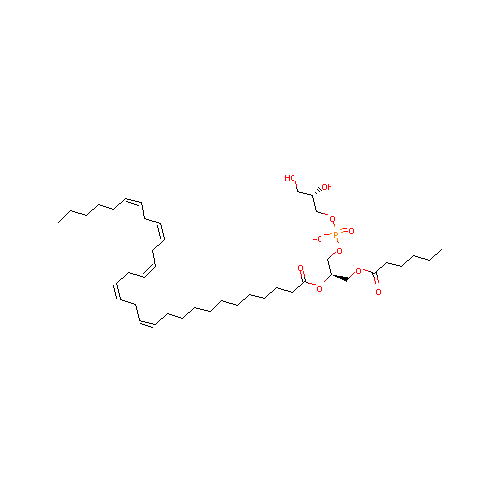 generic_lipid
