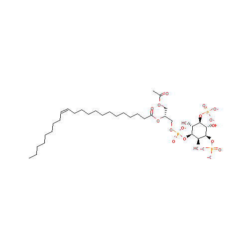generic_lipid