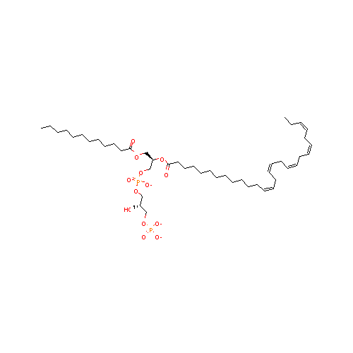 generic_lipid