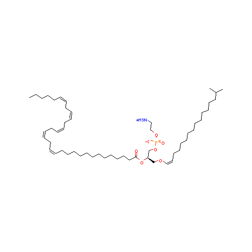 generic_lipid