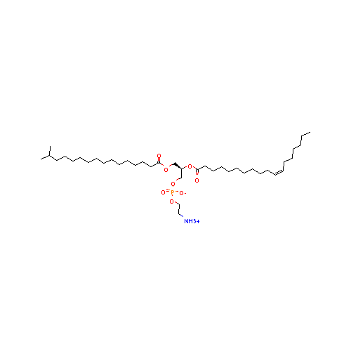 generic_lipid