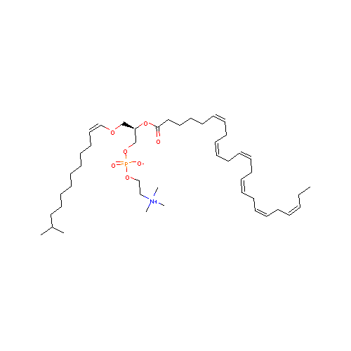 generic_lipid