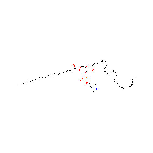 generic_lipid
