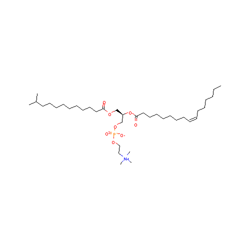 generic_lipid