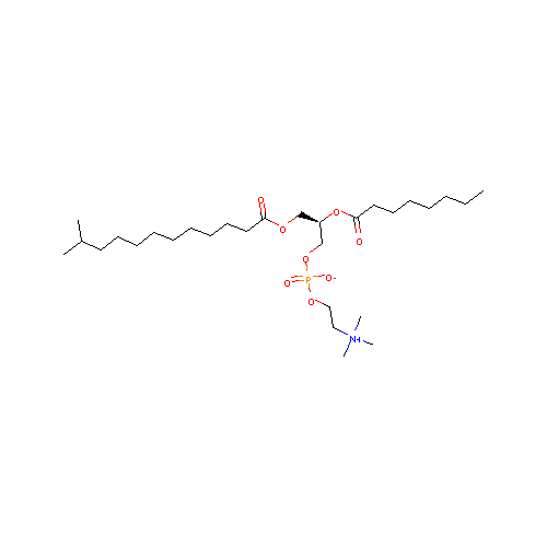 generic_lipid