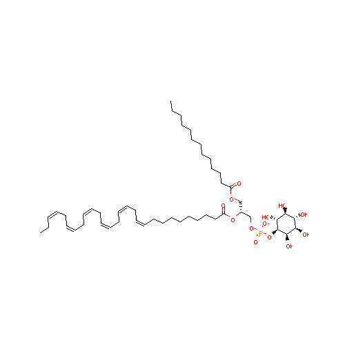 generic_lipid