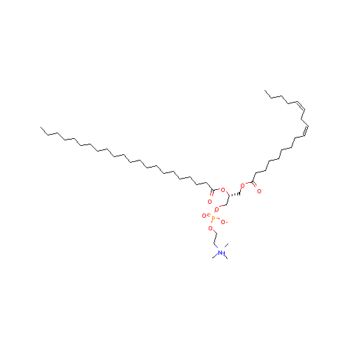 generic_lipid