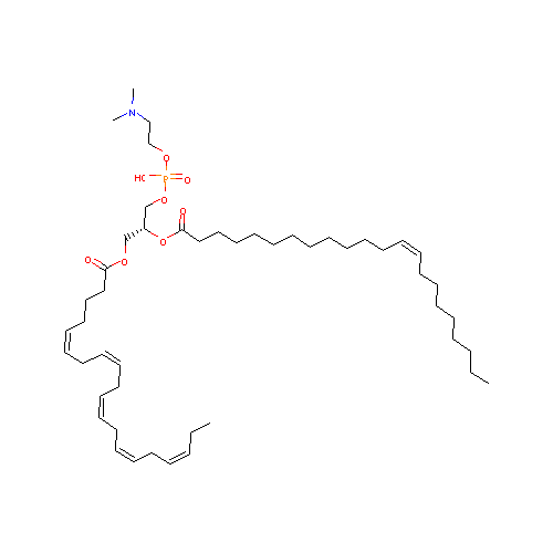 generic_lipid