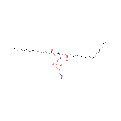 generic_lipid