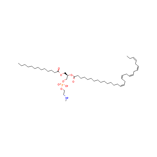 generic_lipid