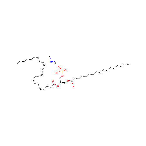 generic_lipid