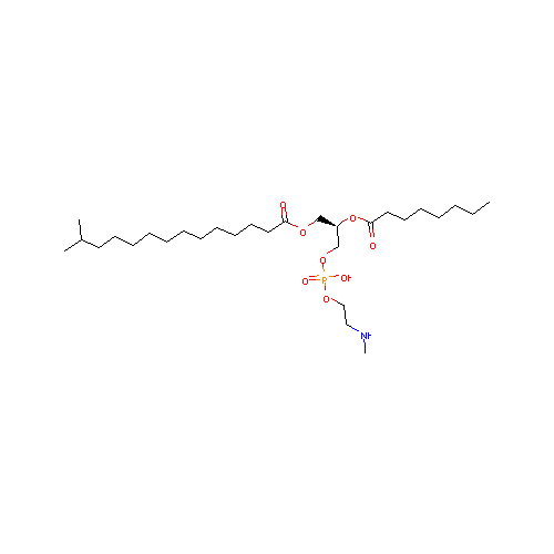 generic_lipid