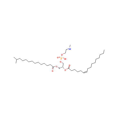 generic_lipid