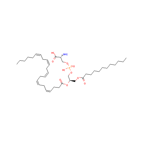 generic_lipid