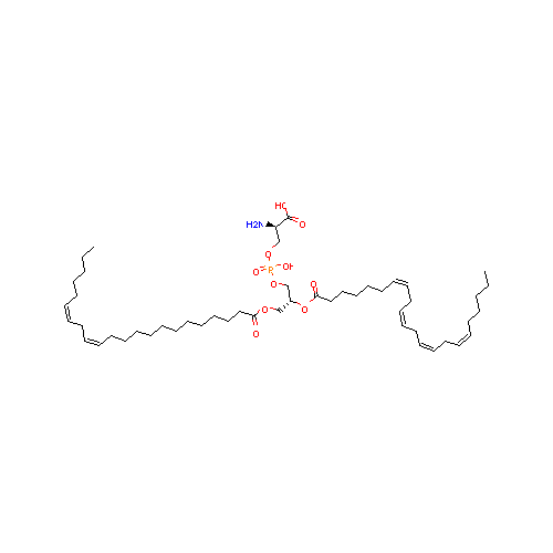 generic_lipid