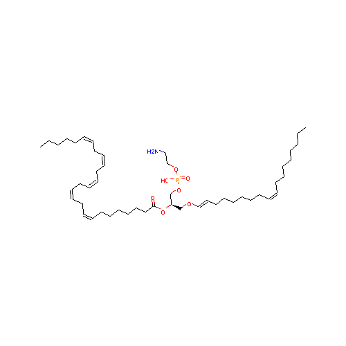 generic_lipid