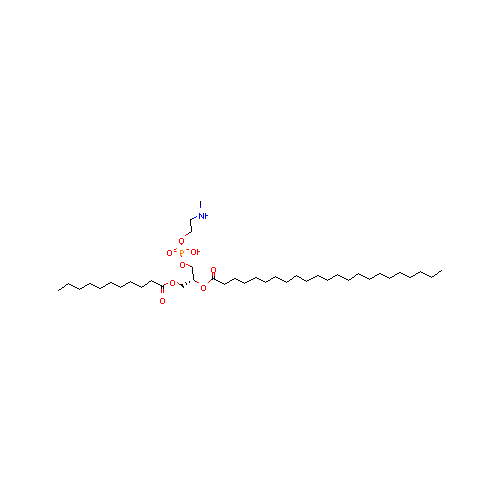 generic_lipid