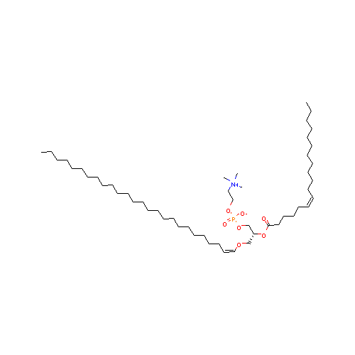 generic_lipid